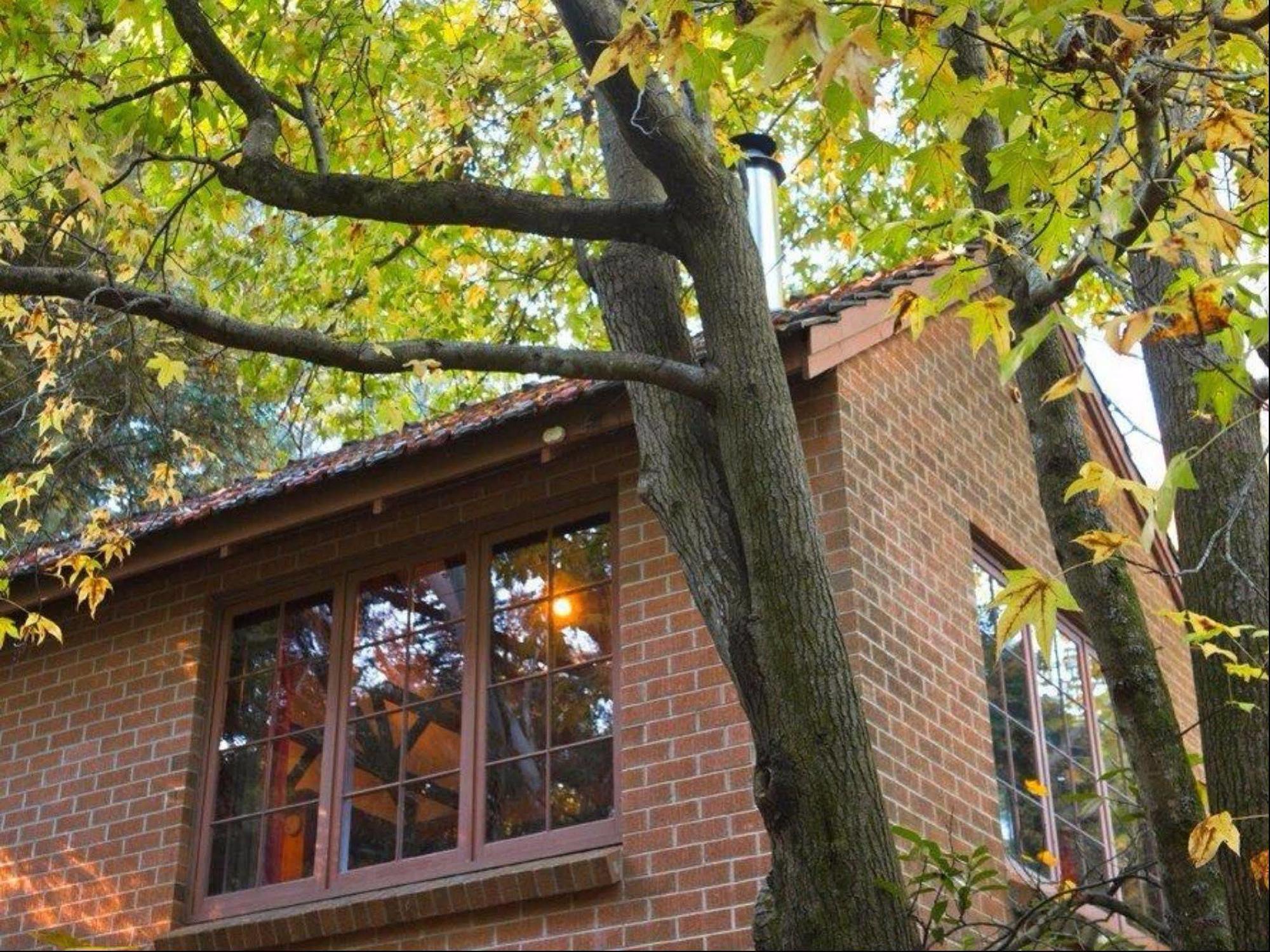 Crafers Cottages Аделаида Экстерьер фото